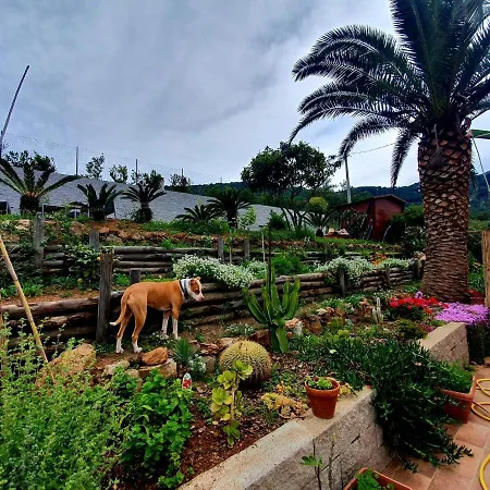 Rosa Dei Venti Appartement Porto Azzurro